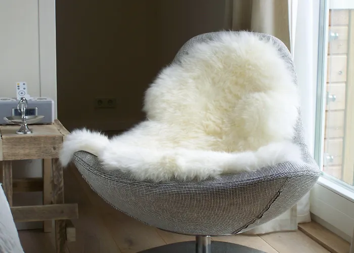 赫特奥德珀斯特坎图酒店 酒店 布吕门