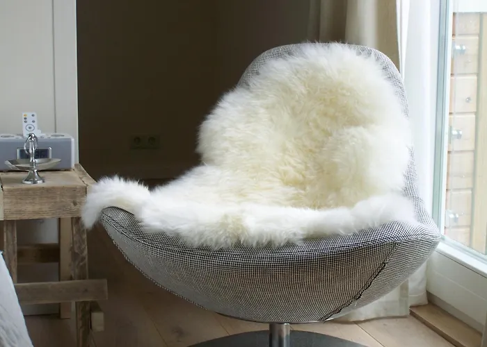 赫特奥德珀斯特坎图酒店 酒店 布吕门