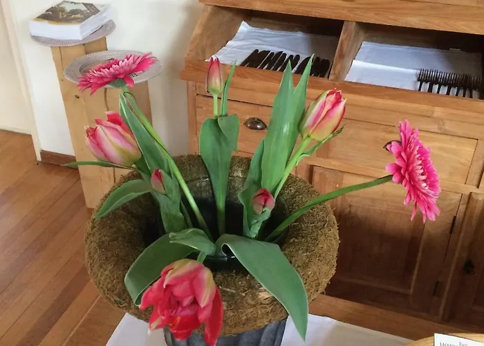 赫特奥德珀斯特坎图酒店